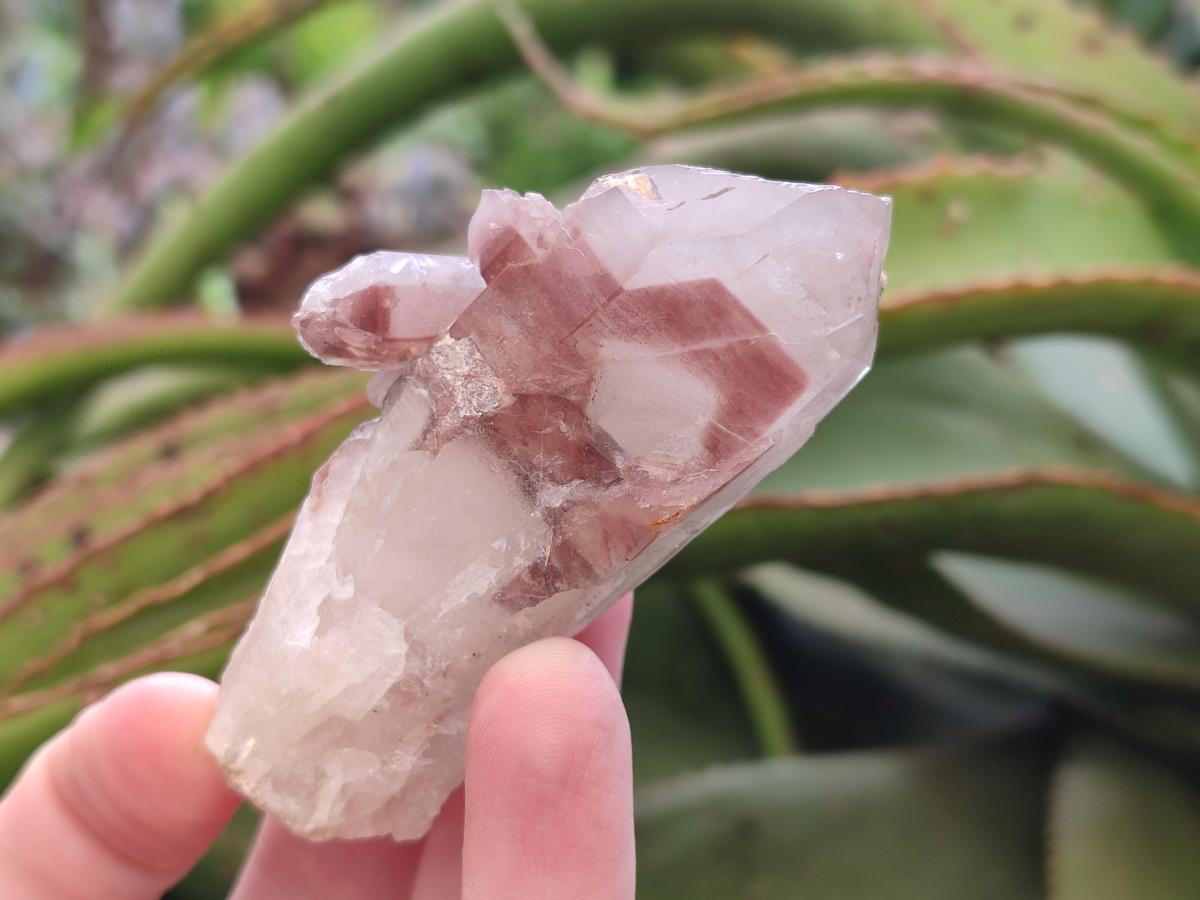 Natural Red Hematoid Quartz Crystals and Clusters x 24 From Karoi, Zimbabwe - Toprock Gemstones and Minerals 