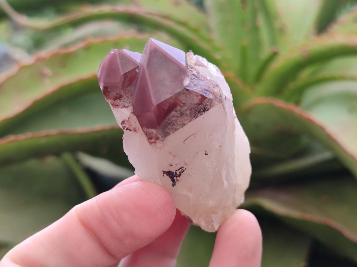 Natural Red Hematoid Quartz Crystals and Clusters x 24 From Karoi, Zimbabwe - Toprock Gemstones and Minerals 