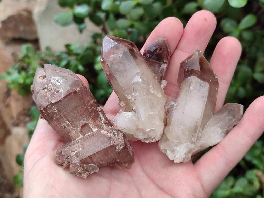 Natural Red Hematoid Quartz Crystals and Clusters x 24 From Karoi, Zimbabwe - Toprock Gemstones and Minerals 