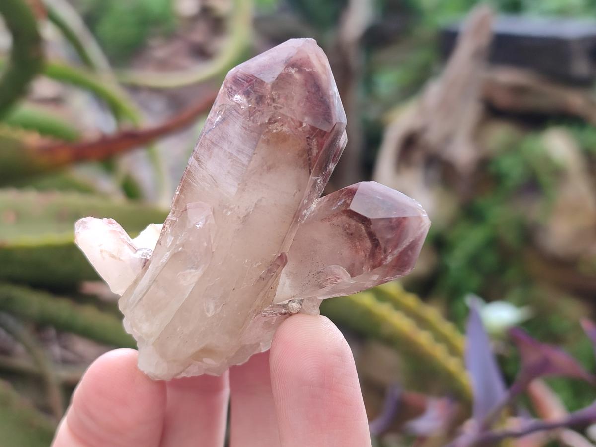 Natural Red Hematoid Quartz Crystals and Clusters x 24 From Karoi, Zimbabwe - Toprock Gemstones and Minerals 