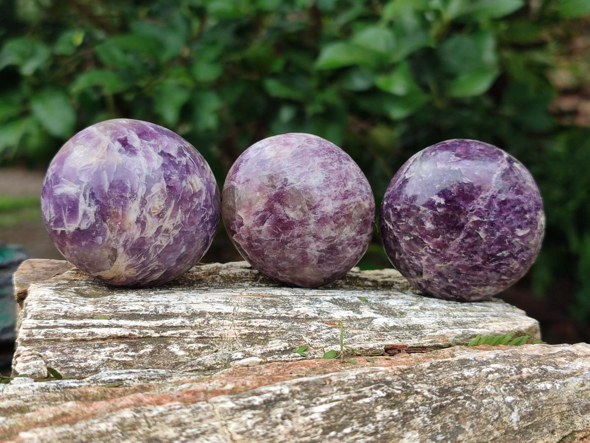 Polished Lepidolite with Pink Rubellite Palm Stones x 24 From Ambatondrazaka, Madagascar - Toprock Gemstones and Minerals 
