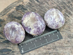 Polished Lepidolite with Pink Rubellite Palm Stones x 24 From Ambatondrazaka, Madagascar - Toprock Gemstones and Minerals 