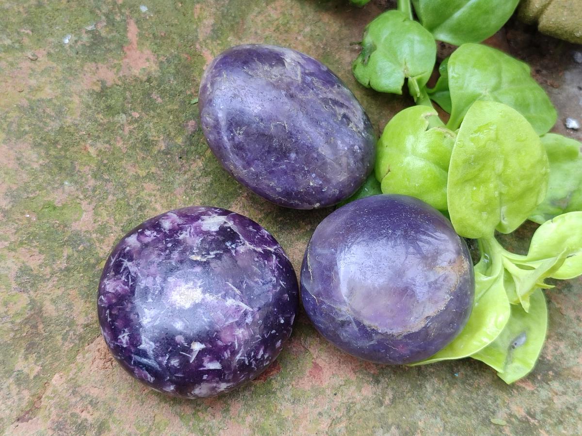Polished Lepidolite with Pink Rubellite Palm Stones x 24 From Ambatondrazaka, Madagascar - Toprock Gemstones and Minerals 