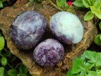 Polished Lepidolite with Pink Rubellite Palm Stones x 24 From Ambatondrazaka, Madagascar - Toprock Gemstones and Minerals 