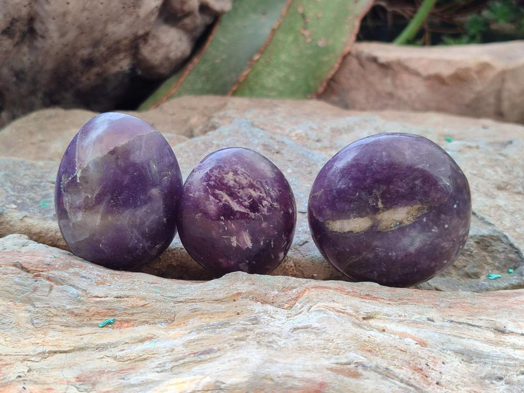 Polished Lepidolite with Pink Rubellite Palm Stones x 24 From Ambatondrazaka, Madagascar - Toprock Gemstones and Minerals 