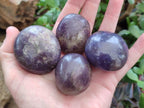 Polished Lepidolite with Pink Rubellite Palm Stones x 24 From Ambatondrazaka, Madagascar - Toprock Gemstones and Minerals 