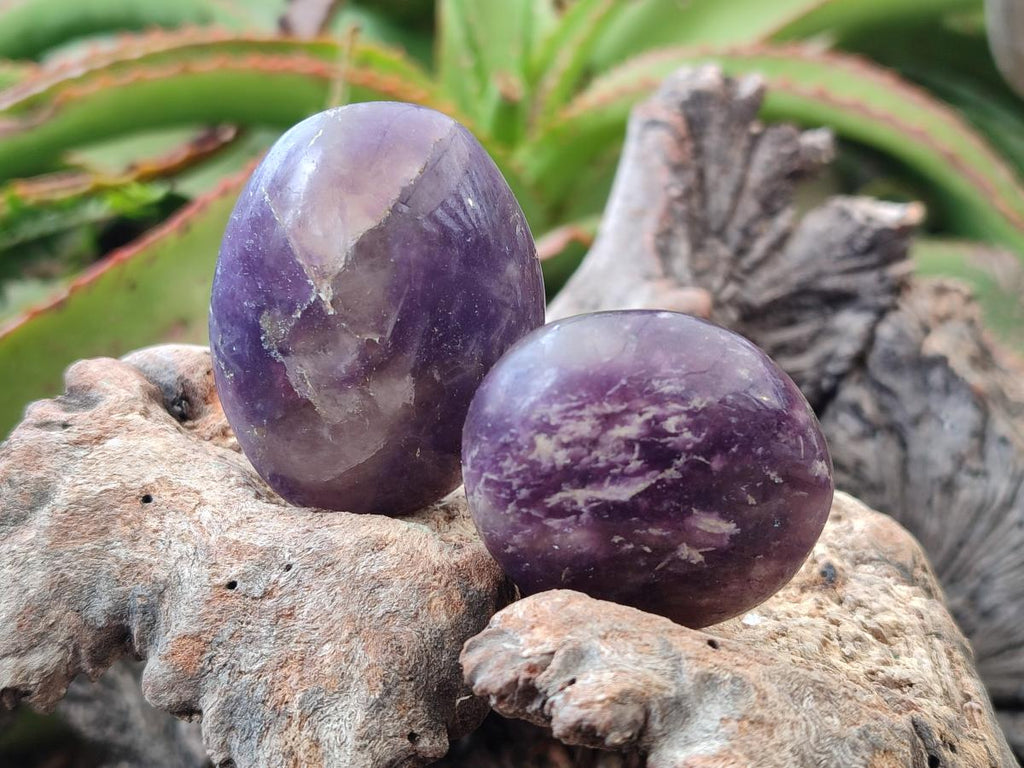 Polished Lepidolite with Pink Rubellite Palm Stones x 24 From Ambatondrazaka, Madagascar - Toprock Gemstones and Minerals 