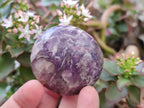 Polished Lepidolite with Pink Rubellite Palm Stones x 24 From Ambatondrazaka, Madagascar - Toprock Gemstones and Minerals 