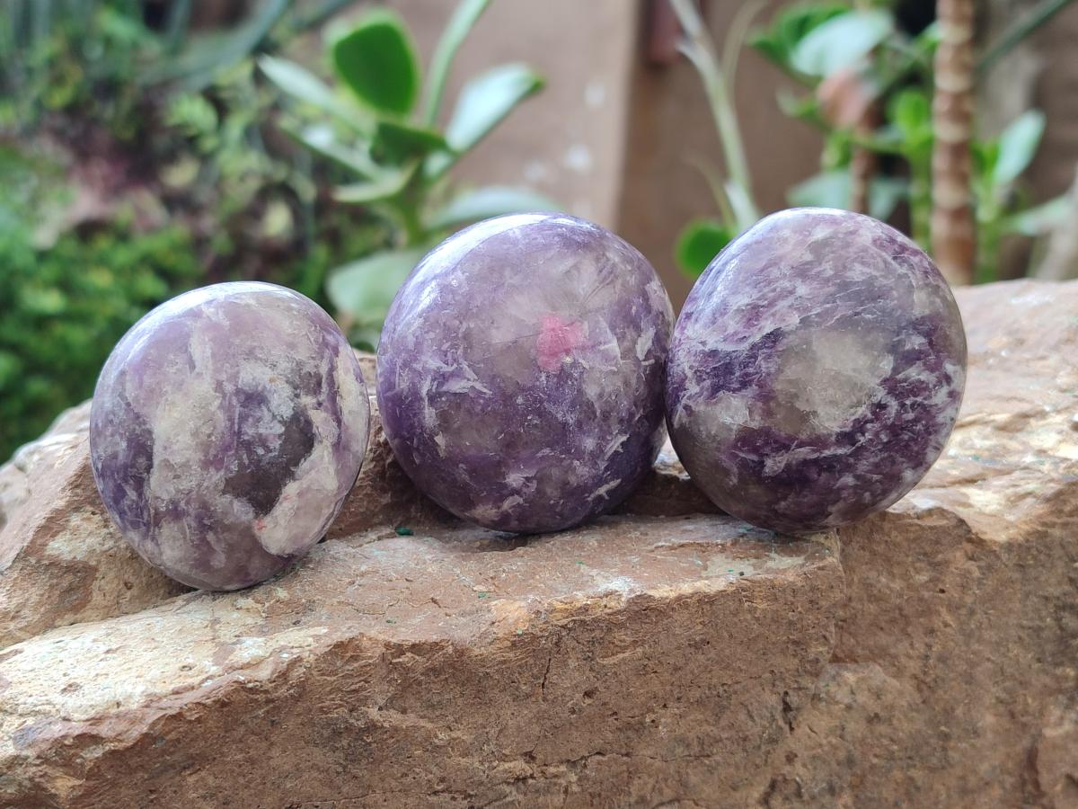 Polished Lepidolite with Pink Rubellite Palm Stones x 24 From Ambatondrazaka, Madagascar - Toprock Gemstones and Minerals 