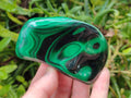 Polished Flower Banded Malachite Free Forms x 12 From Congo - Toprock Gemstones and Minerals 