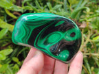 Polished Flower Banded Malachite Free Forms x 12 From Congo - Toprock Gemstones and Minerals 