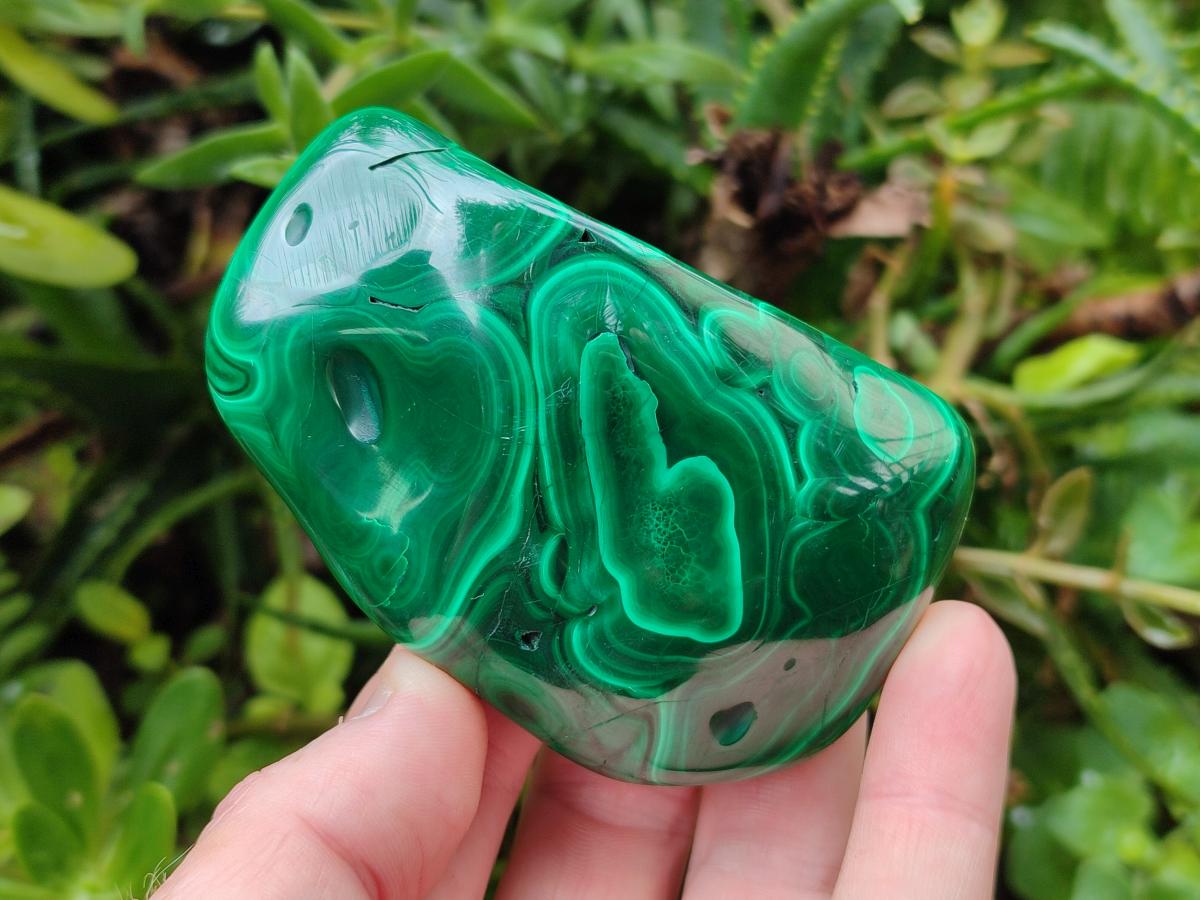 Polished Flower Banded Malachite Free Forms x 12 From Congo - Toprock Gemstones and Minerals 