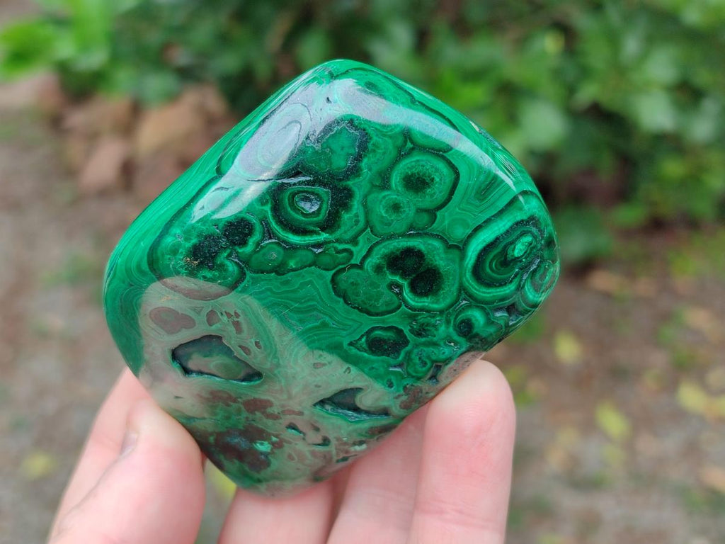 Polished Flower Banded Malachite Free Forms x 12 From Congo - Toprock Gemstones and Minerals 