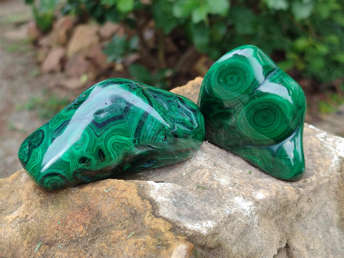 Polished Flower Banded Malachite Free Forms x 12 From Congo - Toprock Gemstones and Minerals 