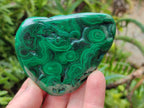 Polished Flower Banded Malachite Free Forms x 12 From Congo - Toprock Gemstones and Minerals 