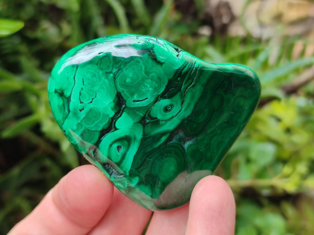 Polished Flower Banded Malachite Free Forms x 12 From Congo - Toprock Gemstones and Minerals 