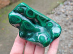 Polished Flower Banded Malachite Free Forms x 12 From Congo - Toprock Gemstones and Minerals 