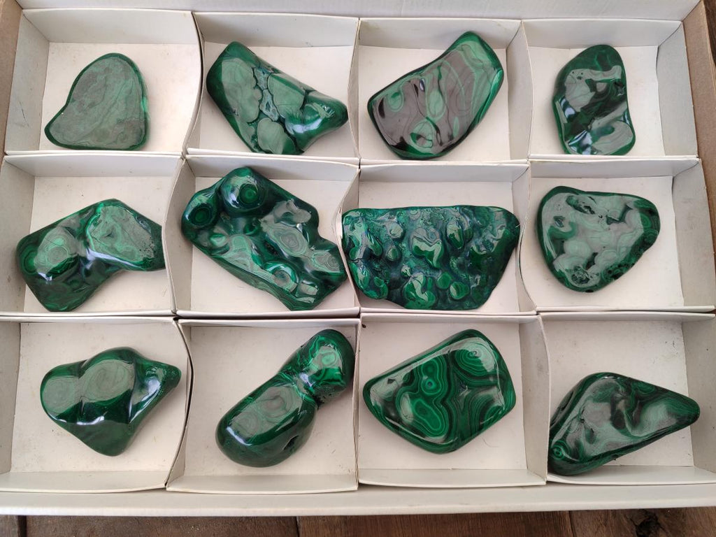 Polished Flower Banded Malachite Free Forms x 12 From Congo - Toprock Gemstones and Minerals 