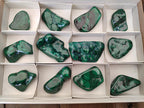 Polished Flower Banded Malachite Free Forms x 12 From Congo - Toprock Gemstones and Minerals 
