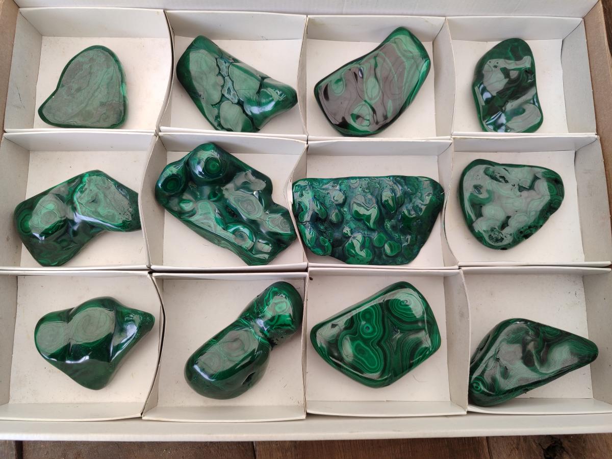 Polished Flower Banded Malachite Free Forms x 12 From Congo - Toprock Gemstones and Minerals 