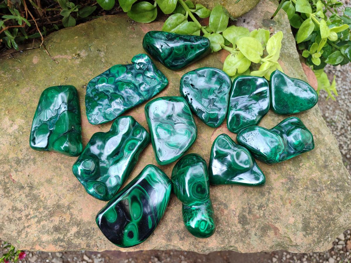 Polished Flower Banded Malachite Free Forms x 12 From Congo - Toprock Gemstones and Minerals 
