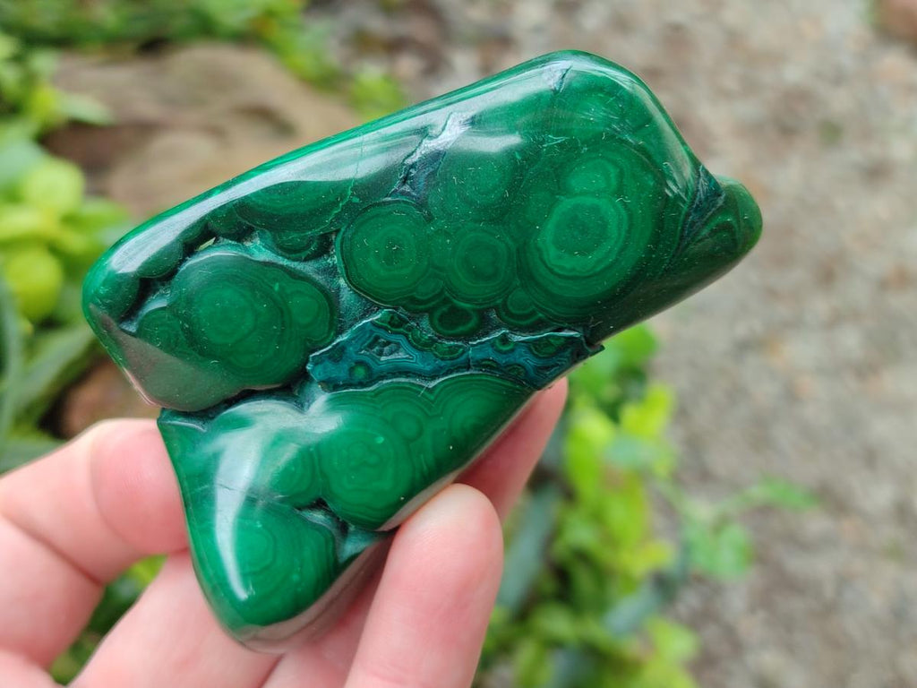 Polished Flower Banded Malachite Free Forms x 12 From Congo - Toprock Gemstones and Minerals 