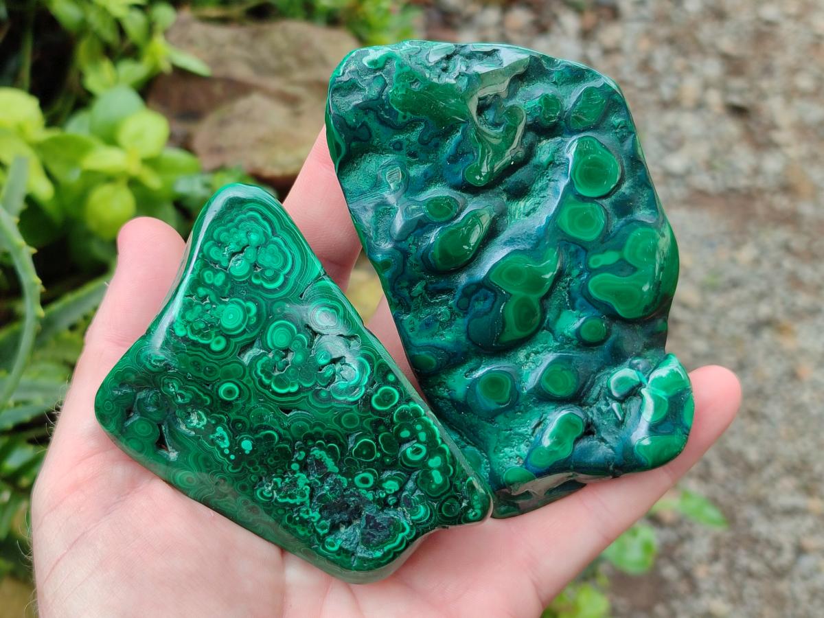 Polished Flower Banded Malachite Free Forms x 12 From Congo - Toprock Gemstones and Minerals 