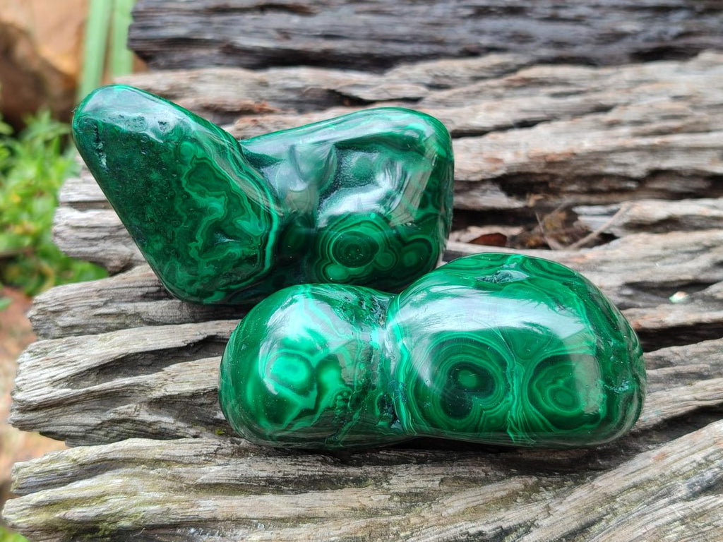 Polished Flower Banded Malachite Free Forms x 12 From Congo - Toprock Gemstones and Minerals 
