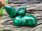 Polished Flower Banded Malachite Free Forms x 12 From Congo - Toprock Gemstones and Minerals 