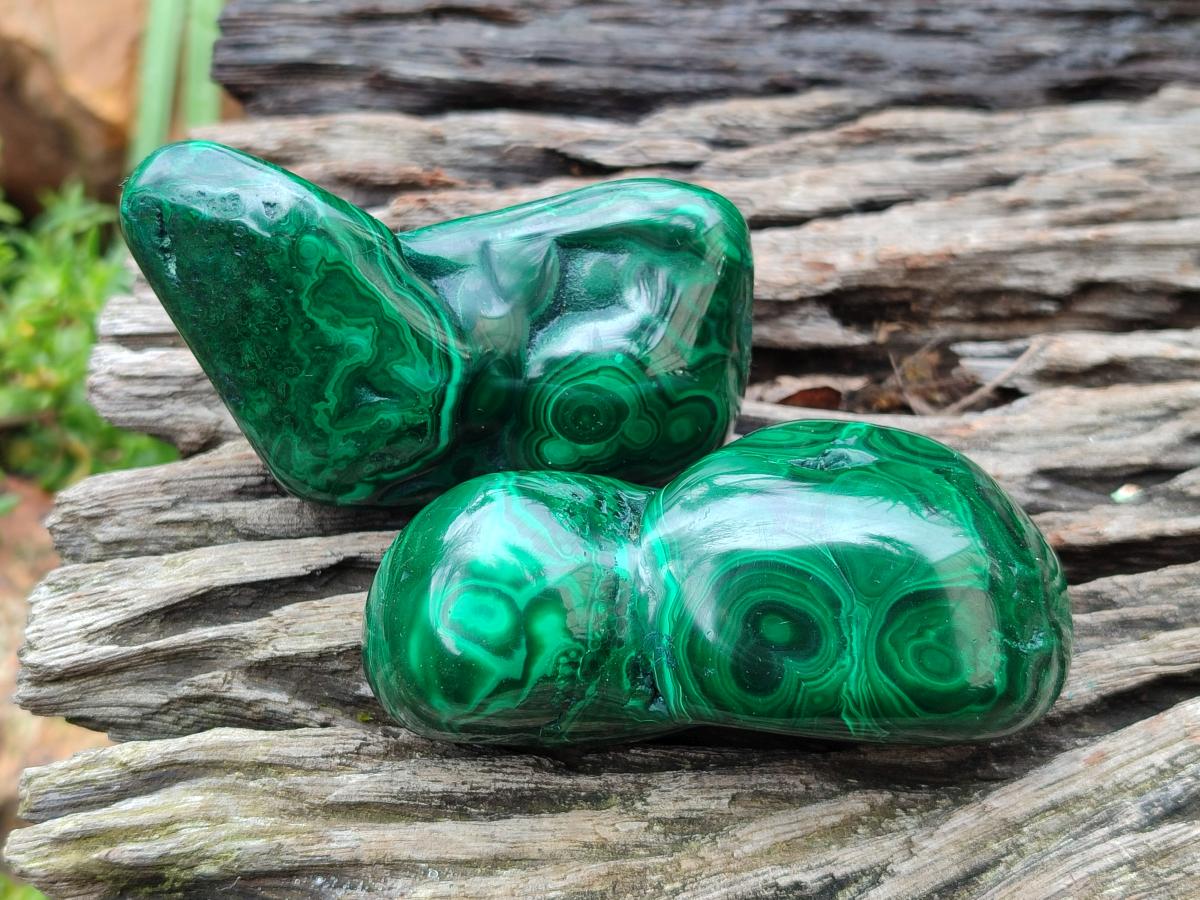 Polished Flower Banded Malachite Free Forms x 12 From Congo - Toprock Gemstones and Minerals 