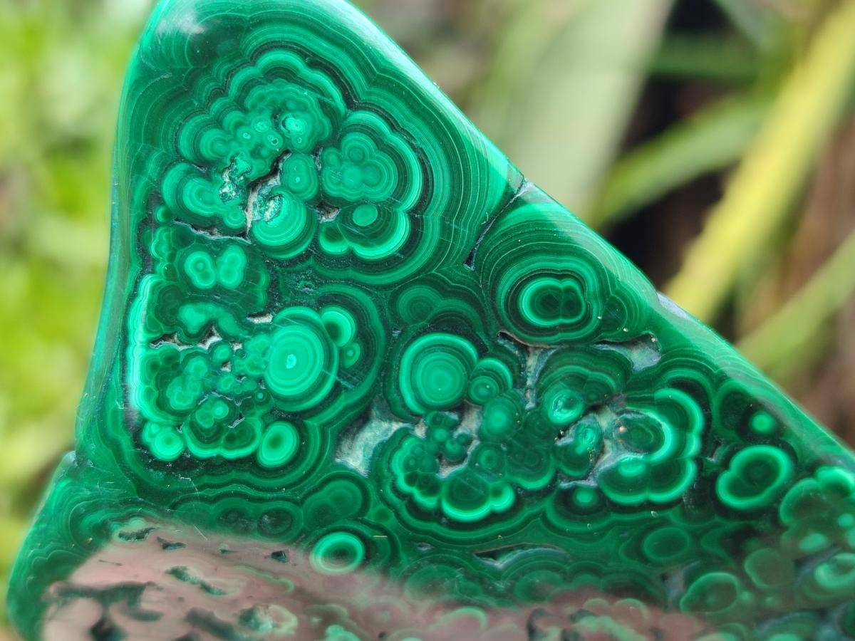 Polished Flower Banded Malachite Free Forms x 12 From Congo - Toprock Gemstones and Minerals 