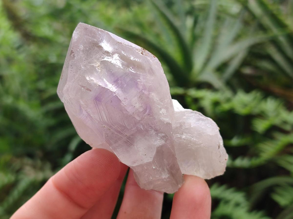 Natural Jacaranda Amethyst Single Crystals x 12 From Mumbwa, Zambia - Toprock Gemstones and Minerals 