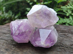 Natural Jacaranda Amethyst Single Crystals x 12 From Mumbwa, Zambia - Toprock Gemstones and Minerals 