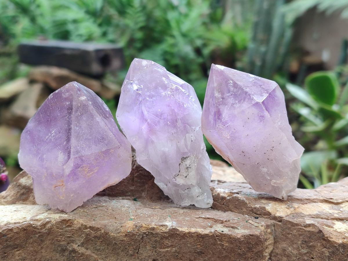 Natural Jacaranda Amethyst Single Crystals x 12 From Mumbwa, Zambia - Toprock Gemstones and Minerals 