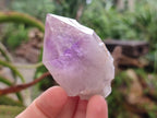 Natural Jacaranda Amethyst Single Crystals x 12 From Mumbwa, Zambia - Toprock Gemstones and Minerals 