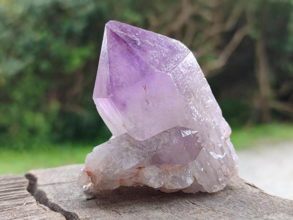 Natural Jacaranda Amethyst Single Crystals x 12 From Mumbwa, Zambia - Toprock Gemstones and Minerals 