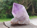 Natural Jacaranda Amethyst Single Crystals x 12 From Mumbwa, Zambia - Toprock Gemstones and Minerals 