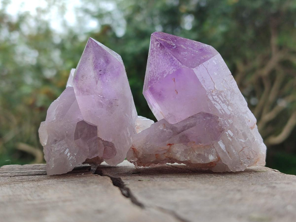 Natural Jacaranda Amethyst Single Crystals x 12 From Mumbwa, Zambia - Toprock Gemstones and Minerals 