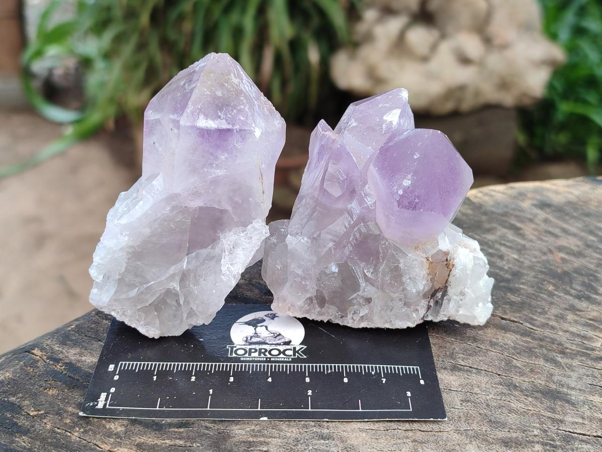 Natural Jacaranda Amethyst Single Crystals x 12 From Mumbwa, Zambia - Toprock Gemstones and Minerals 