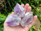 Natural Jacaranda Amethyst Single Crystals x 12 From Mumbwa, Zambia - Toprock Gemstones and Minerals 