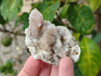 Natural Smokey Spirit Quartz Clusters with Hematoid Coating x 12 From Boekenhouthoek, South Africa - Toprock Gemstones and Minerals 