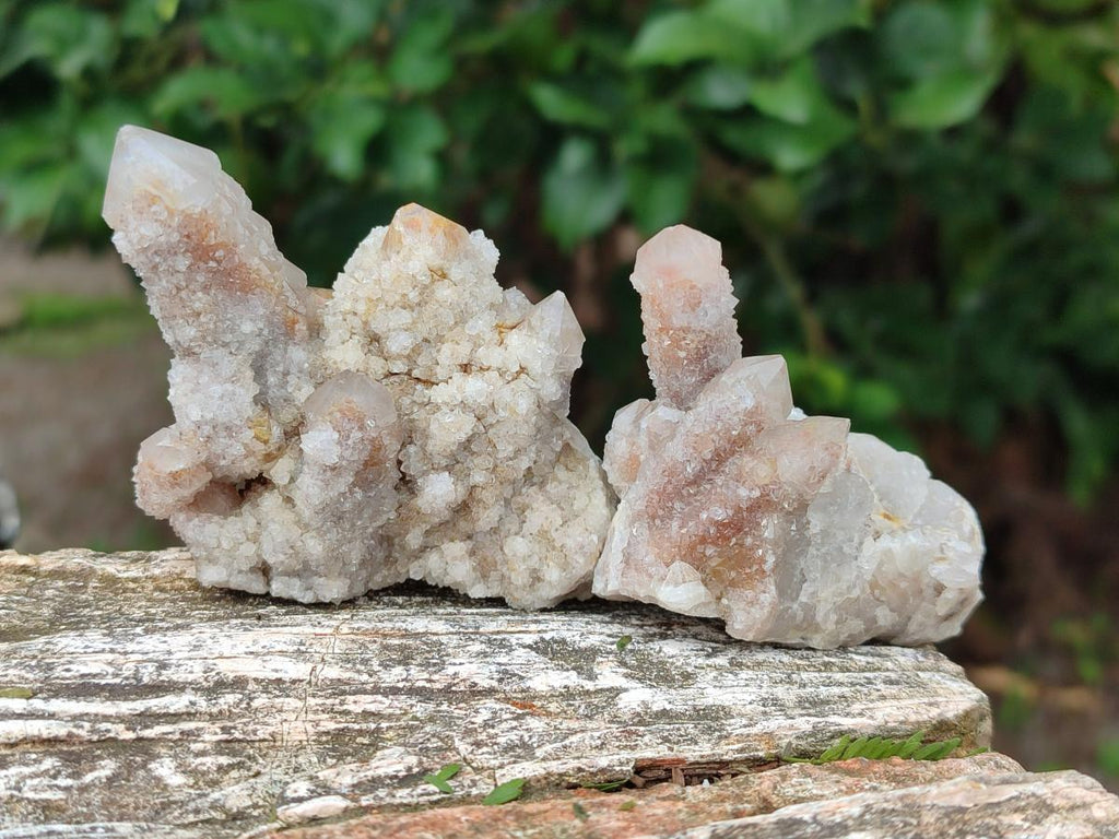 Natural Smokey Spirit Quartz Clusters with Hematoid Coating x 12 From Boekenhouthoek, South Africa - Toprock Gemstones and Minerals 