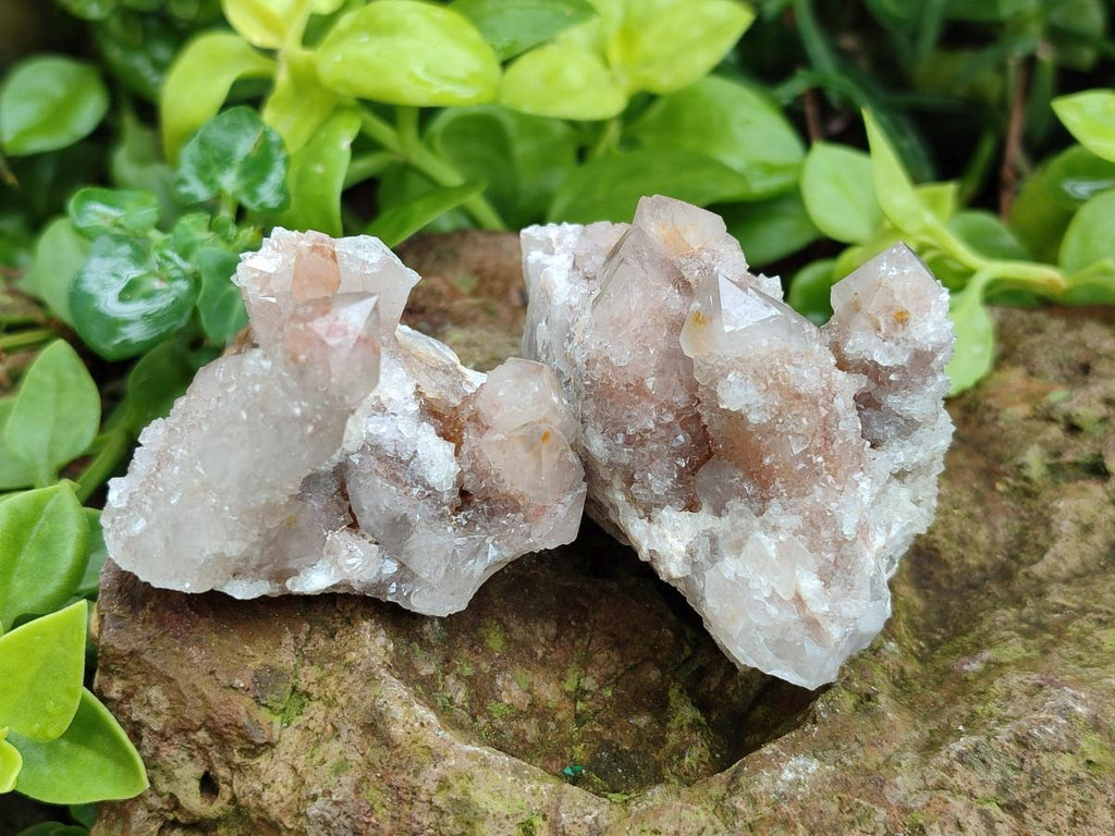 Natural Smokey Spirit Quartz Clusters with Hematoid Coating x 12 From Boekenhouthoek, South Africa - Toprock Gemstones and Minerals 