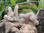 Natural Smokey Spirit Quartz Clusters with Hematoid Coating x 12 From Boekenhouthoek, South Africa - Toprock Gemstones and Minerals 