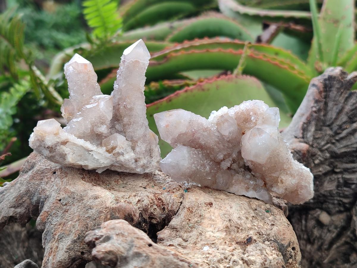 Natural Smokey Spirit Quartz Clusters with Hematoid Coating x 12 From Boekenhouthoek, South Africa - Toprock Gemstones and Minerals 