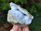Natural Blue Lace Agate Geode Specimens x 6 From Nsanje, Malawi - Toprock Gemstones and Minerals 