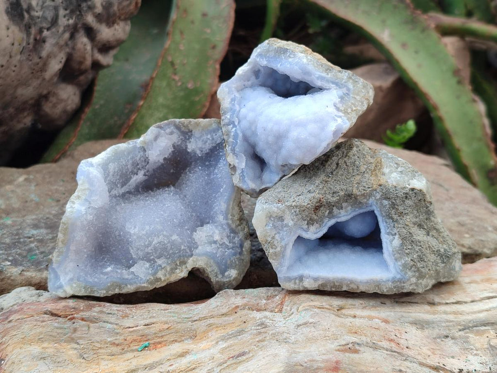 Natural Blue Lace Agate Geode Specimens x 6 From Nsanje, Malawi - Toprock Gemstones and Minerals 