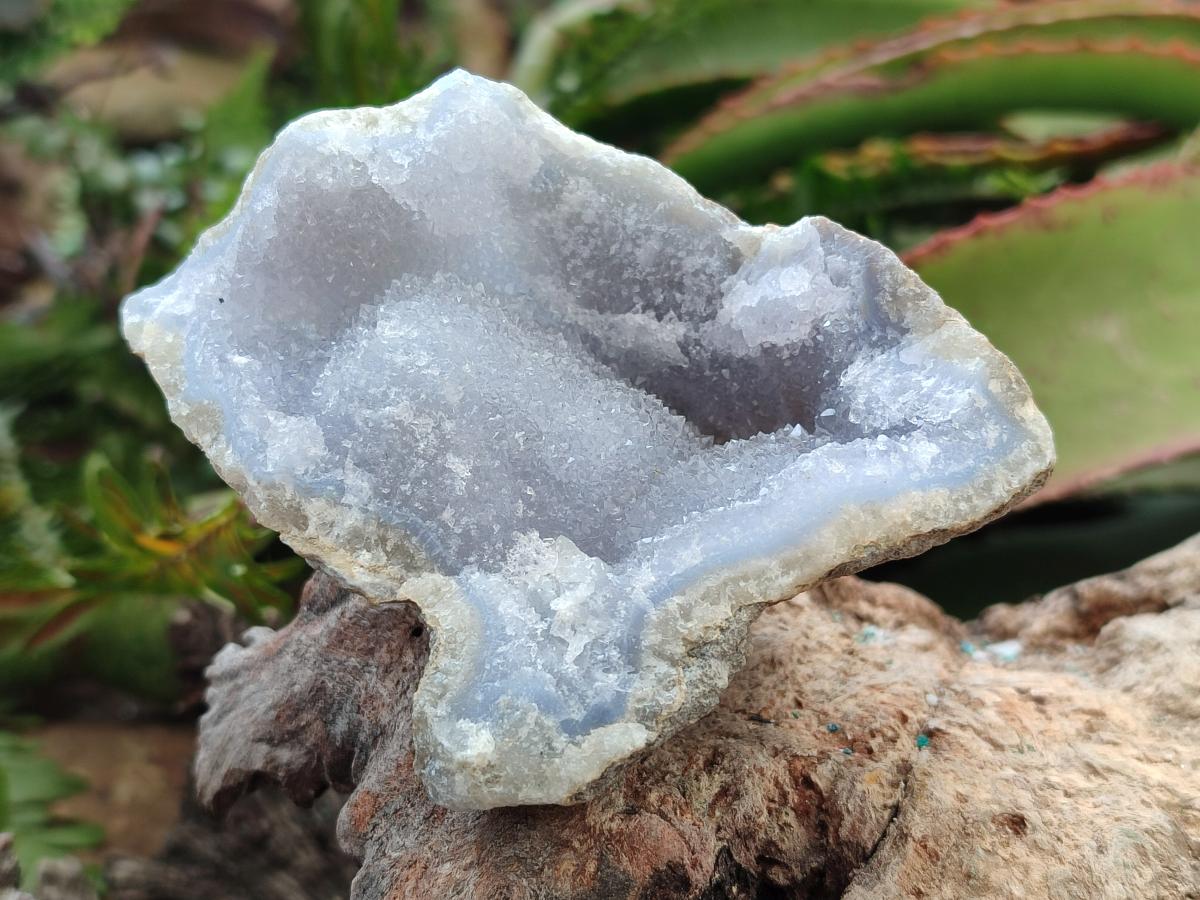 Natural Blue Lace Agate Geode Specimens x 6 From Nsanje, Malawi - Toprock Gemstones and Minerals 