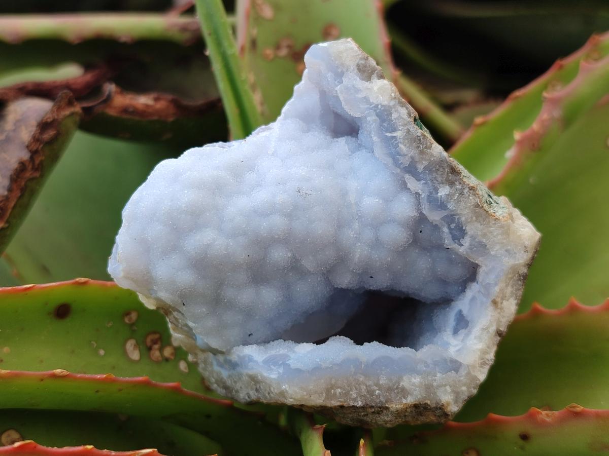 Natural Blue Lace Agate Geode Specimens x 6 From Nsanje, Malawi - Toprock Gemstones and Minerals 
