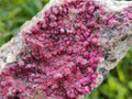 Natural Cobaltoan Dolomite Specimens x 4 From Kakanda, Congo - Toprock Gemstones and Minerals 